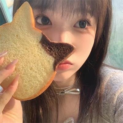 代号九耳犬