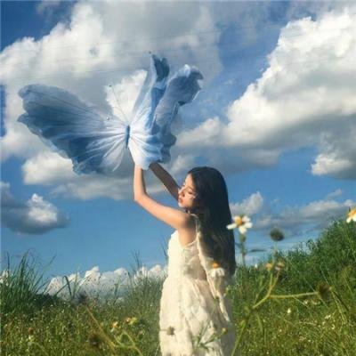 野探哈莉第四季