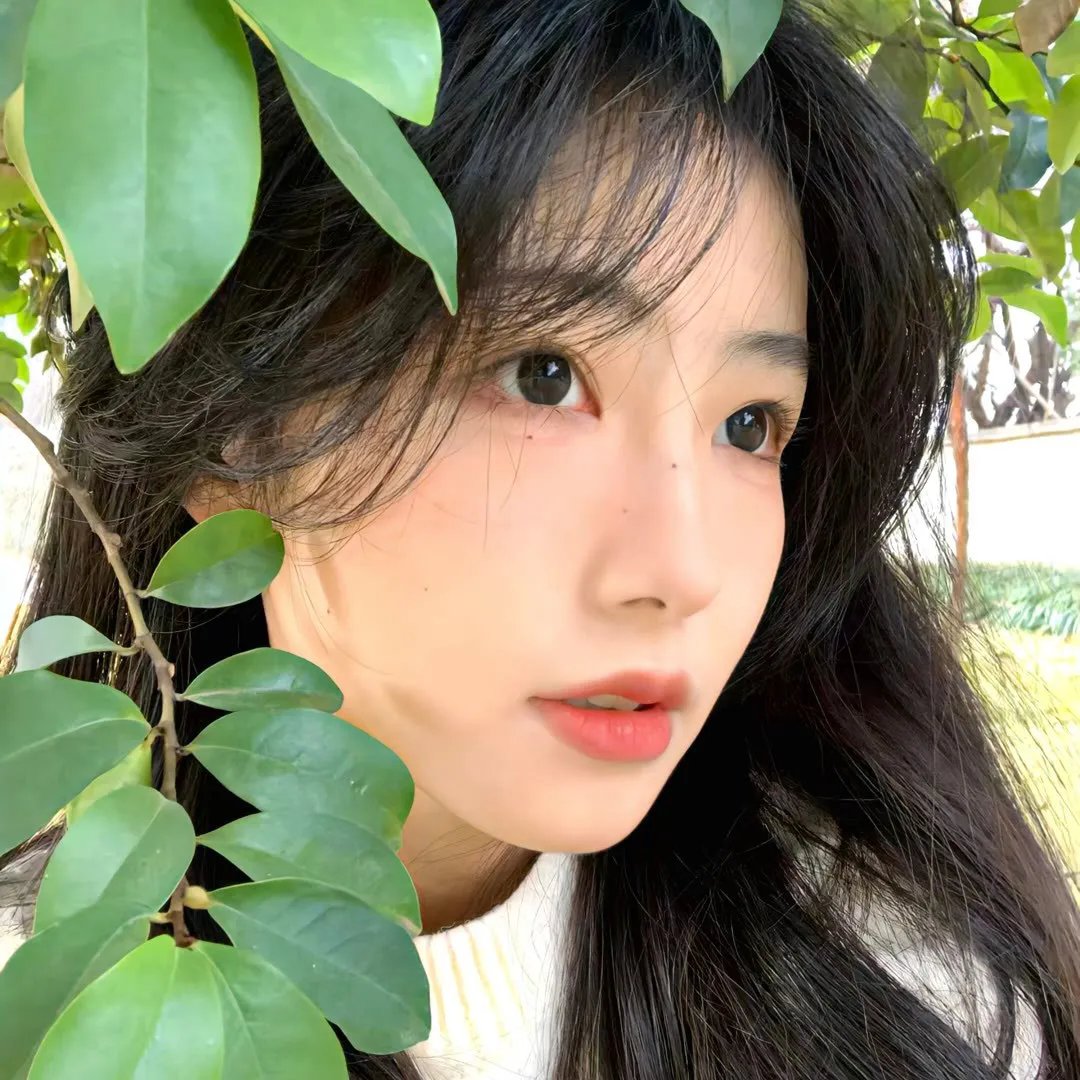 若如初见
