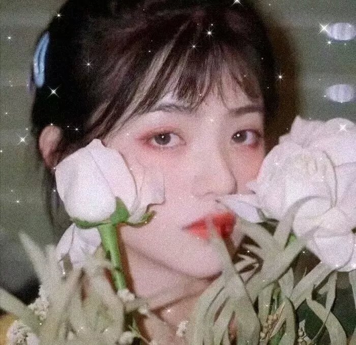 少年无求